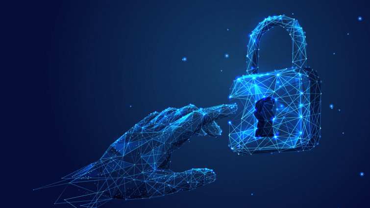 Robo del codigo fuente